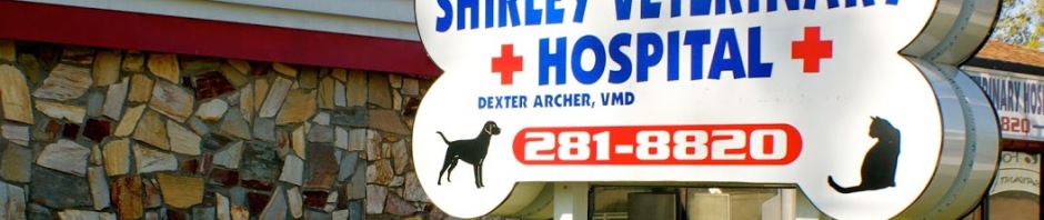 Shirley Veterinary Hospital Dr. Dexter Archer Shirley NY